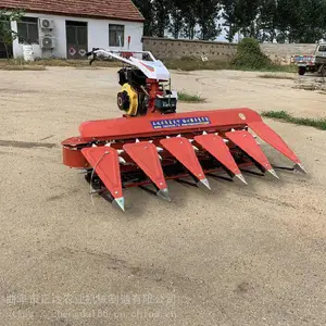 �������͸�ɹ�� ����΢�͸�ɹ�� �����׸�ɹ��