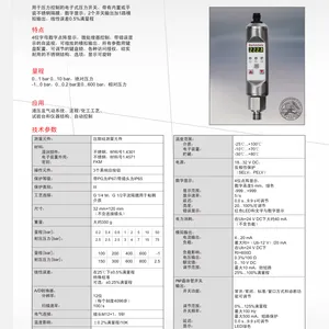 ��ʿ��barksdale����ʽѹ�����أ�SW2000�ͣ�UDS 7�ͣ�UDS1V2��