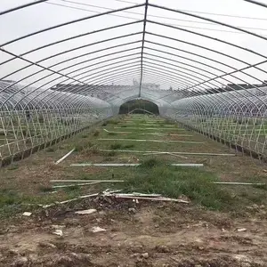 �����˴��ֹܴ���Ǽ�ά�޻�Ĥ