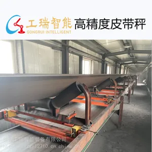 皮带秤高精度电子秤测重定量给料机配料秤煤矿港口粮食称重设备