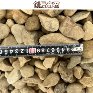 广东顺德鹅卵石户外铺设小路 顺德鹅卵石美化庭院 顺德杂色鹅卵石