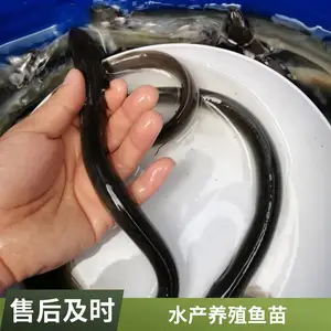 �����糧�ҹ�Ӧ �������� ˮ�������ֳ�������������