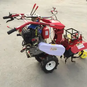 ���ʹ�п��������� ����ʽ��¢�� ����������
