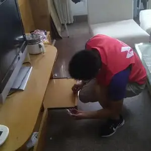 威海除蟑螂公司,威海杀虫公司,威海消杀公司服务团队