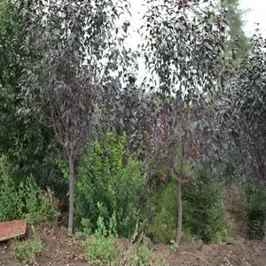 ����һ������������ ��ͷ�����¼���������