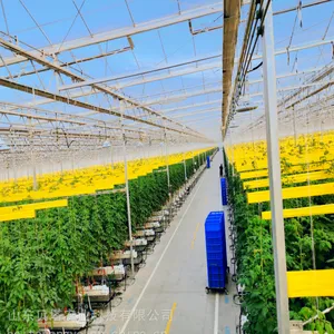 荷兰温室大棚 荷兰智能温室 智能控制光照充足 育苗育种