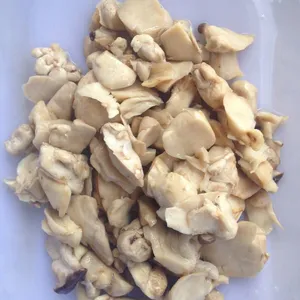 河北供应盐渍杏鲍菇根 常年供应
