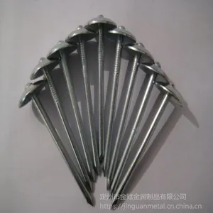 ��Ӧ���ֹ��ֱ�����㶤 ������㶤