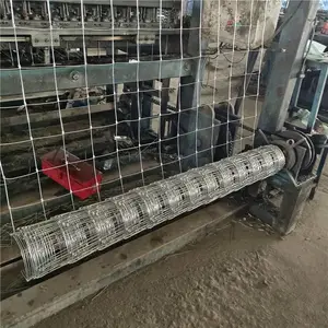 不生锈的圈羊铁丝网厂家批发