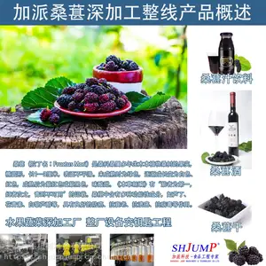 桑葚汁加工生产线 桑葚果酱 桑葚酒加工设备 全套桑葚深加工