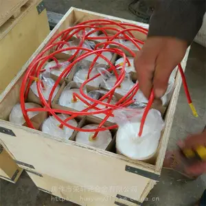 ����������������������ͭ�αȵ缫 ��Яʽ ��Ч����ͭ�αȵ� �ӱ�ֱ��