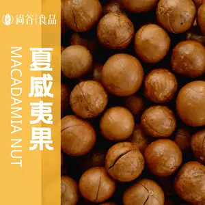 夏威夷果代加工 夏威夷果贴牌定制 夏威夷果批发厂家