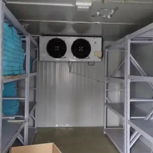 ��⡢��塢������顢�����ա��������