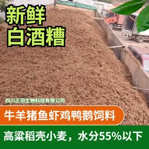 郎酒酒糟 白酒糟饲料原料 湿酒糟水分55%以下 牛羊水产育肥饲料原料
