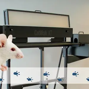 ���ﲽ̬����ϵͳ(CatWalk XT)