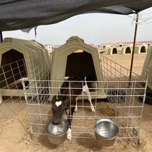�Ƹ��� ��ţ�� Сţ��ס�� ��ţ�� ����һ�γ���