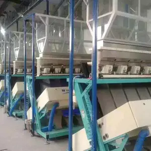 ����ɫѡ��,ɫѡù�����׷�ù����ѡ��ɫ����ȥ������ɫѡ��