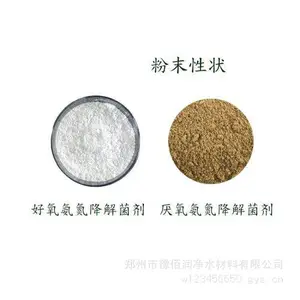 生物菌种好氧菌活性因子200亿/g源头批发 欢迎咨询