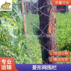 ��ֳ�������� Χ���� ��˿�� �������� �����ֻ�