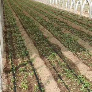 �γ������Թ�ʽ�ι������ָ����װ��������