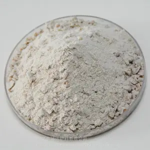 ��� ����¯���� ��¯���ָɴ�¯�� ��̼�� ����������