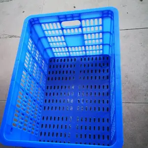 ��԰����ɫ���Ͽ�_������ˤ�ܽ���_̩�����Ͽ�۸�