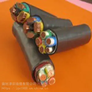 津宗 软芯屏蔽电力电缆 铜芯电力电缆 价格优惠