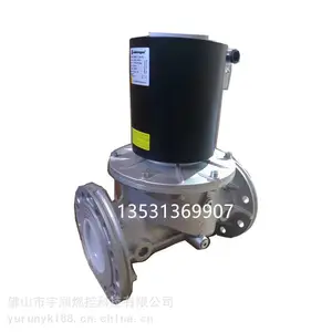 ������˹Elektrogasȼ����ŷ�VMR92-DN100