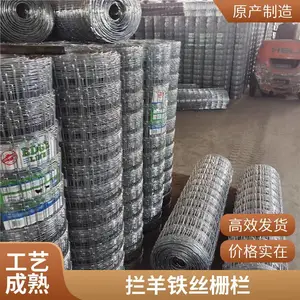 圈羊钢丝网 羊圈铁丝围栏 缠绕型铁丝防护网厂家