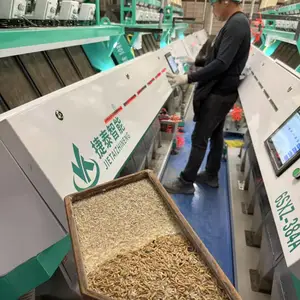 捷泰小型色选机多功能筛选大米玉米豆类小黄米色选机