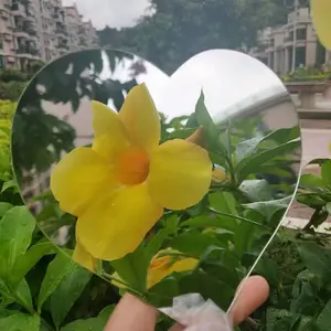 ����۾�pc��Ƭ��pc�Ӵ���Ƭ��pc͸����Ƭ