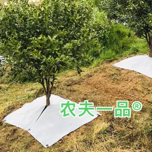 全光反射布里的反射