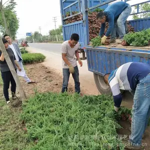 ����԰�� �̻�����30�����̵ذ� ���ذؾ��� �ͺ��ͺ�