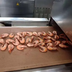 沃斯特隧道式快速大虾烘干机 海产品微波加热杀菌设备