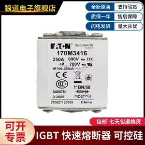 170M5813 170M5974 170M6083 170M6163 全新原装巴斯曼熔断器