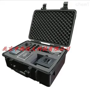 便携式水质测定仪(氨氮、总氮) 型号:CH10-PWN-820D 库号:M407573