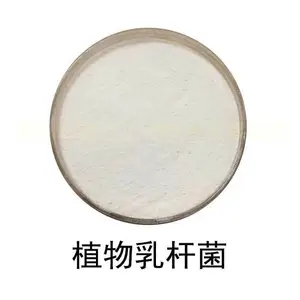 植物乳杆菌-食品级冻干型乳酸菌粉 调理发酵型益生菌原料