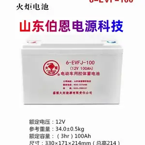 火炬动力蓄电池 6-EVFJ-100 12v100AH 高尔夫球车 船舶通讯叉车电瓶