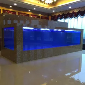 �������������㺣ʨ�������� ���Ϻ�������չ�����庣���������ȫ��Ѳչ