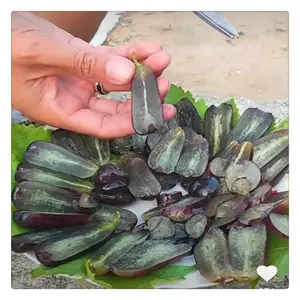 ***ά������������ �����޺�������۸� �޺�������Ʒ��