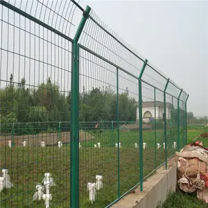 ��ɫ��ɫ���令�� ���������� ����������ϻ���