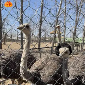 加密小孔镀锌勾花网 畜牧养殖拧边拧花网 体育场菱形包塑围网