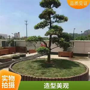 仿木桩时尚美观 园艺水泥仿树桩 成品五连排30高路牙石