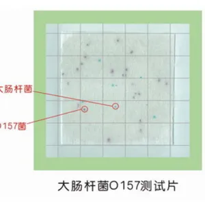 微生物测试片 副溶血弧菌检测纸片 生化显色计数法 24片/包