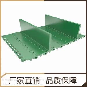 定制提升机专用塑料网带链 加隔板加裙边果蔬分装输送配件耐磨损