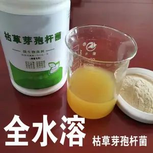 益生菌C位担当 枯草芽孢杆菌 农业种植水产养殖环保治理