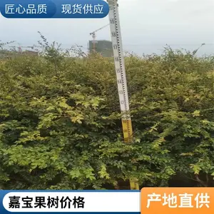 �α����� �䱦�� ����ֱ�� ũ����ֲ�������� ȫ������
