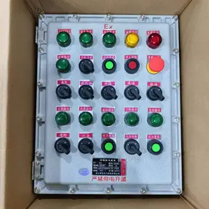 防爆触摸屏控制箱 防爆电磁阀控制箱 Q235