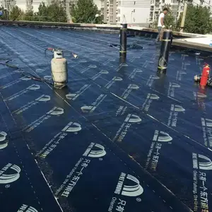 北京延庆桥梁防水彩钢房防水堵漏千顺达