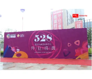 微电影拍摄费用 欢迎咨询 上海影逊文化传播供应